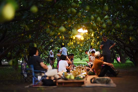 來到5012，不論是「餐會」、「音樂會」、「親子創作」抑或「農事體驗」，都是與老柚樹、百花和動物們的浪漫旅遊。